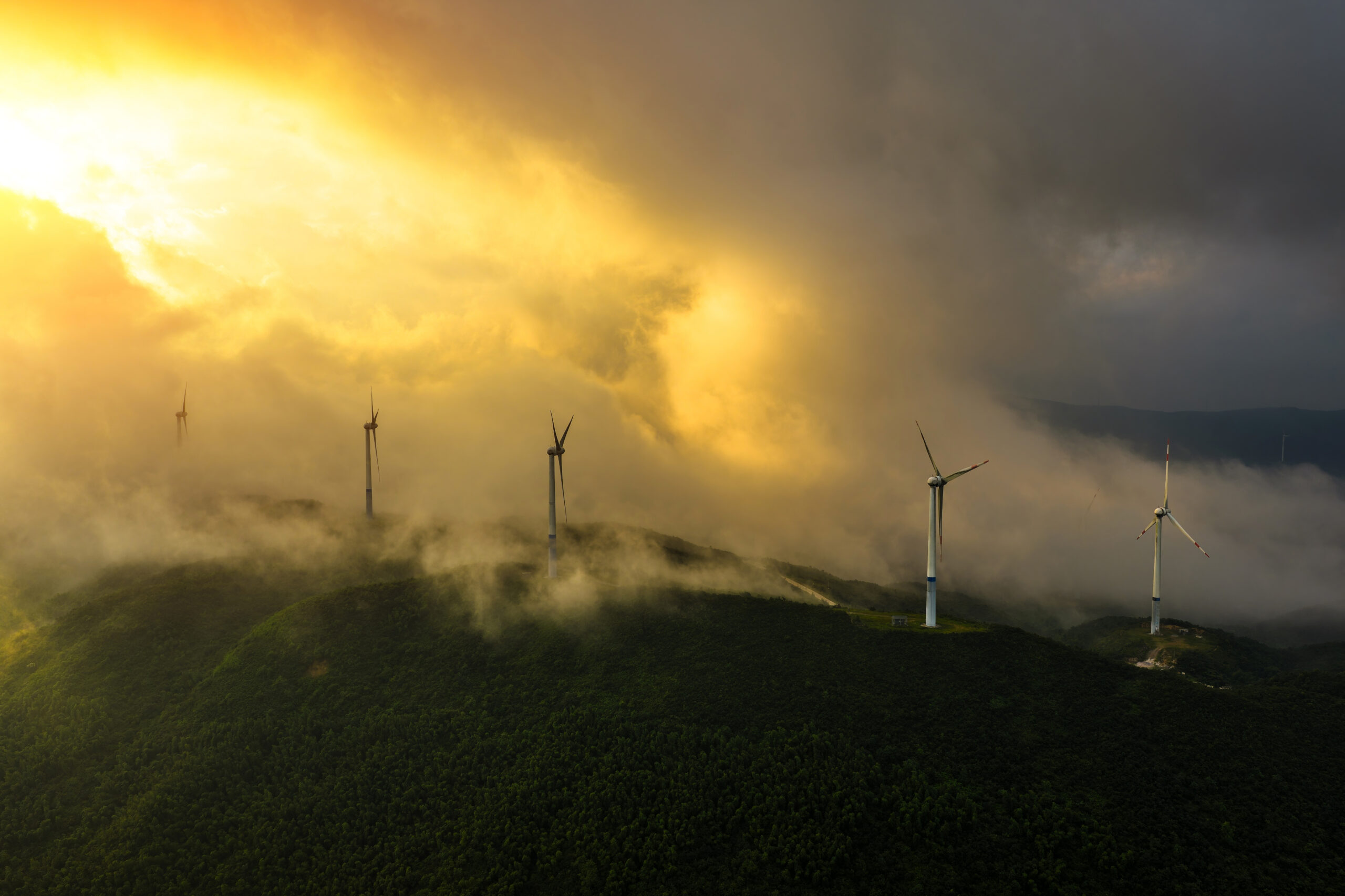 Baltic Partners advised iCotton on acquisition of the key assets from Austin Lane Co. (dba Hempress Hygienics Inc.)